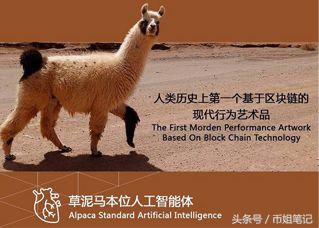 币圈奇葩事,币圈奇葩币种名