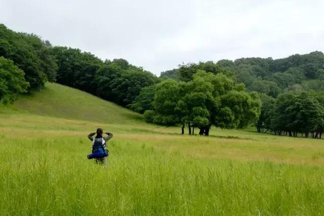 迷人的哈尔滨之夏万达实景,迷人的哈尔滨之夏