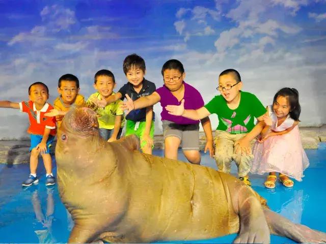 迷人的哈尔滨之夏万达实景,迷人的哈尔滨之夏