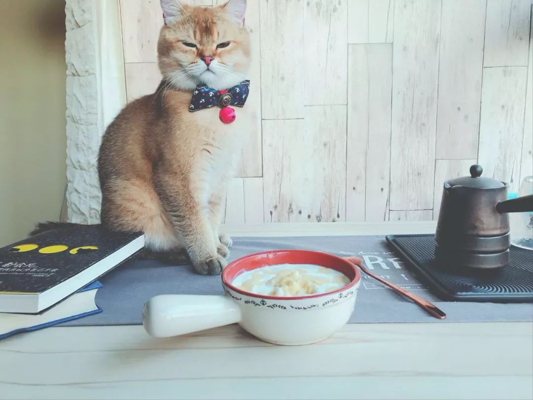 D155：留恋知识的酸奶~当榴莲遇到芝士酸奶，你将被打开新世界大门