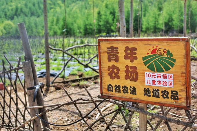 本溪有游泳池的山庄,本溪无边泳池冬天