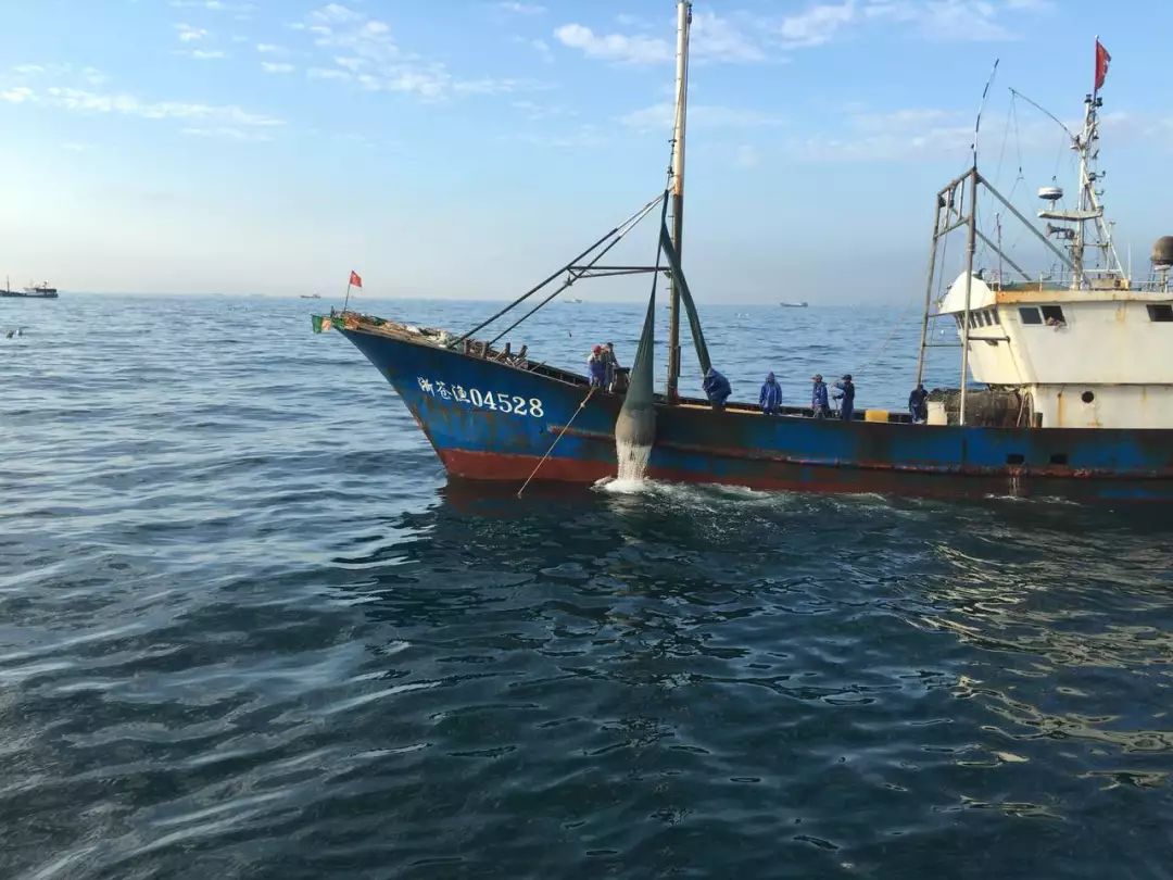 虾皮特级无盐补钙儿童,含钙量最高的食物排名虾皮和牛肉