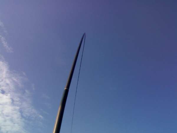 钓青鱼直接用螺丝肉钓可以吗,青鱼用螺蛳肉钓还是用螺蛳钓