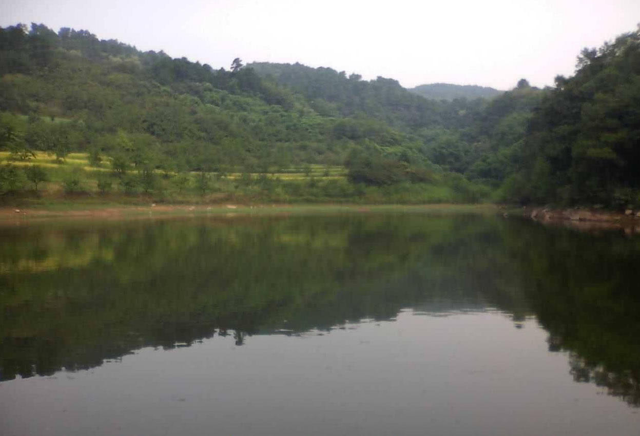 钓青鱼直接用螺丝肉钓可以吗,青鱼用螺蛳肉钓还是用螺蛳钓