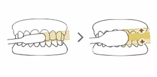 双十一我最先放入购物车的，就是这几款风靡日本的牙刷！