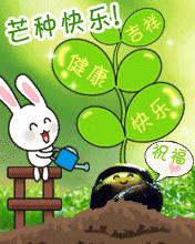 芒种简短的祝福,芒种图片大全祝福