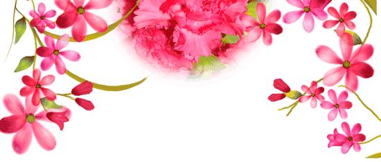 芒种简短的祝福,芒种图片大全祝福