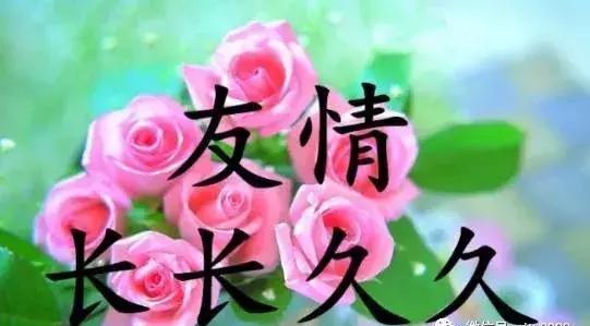 芒种简短的祝福,芒种图片大全祝福