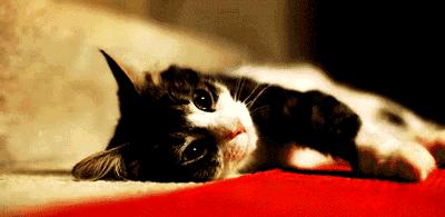 古代诗人吐槽天气热的诗,关于天气热的一些诗句