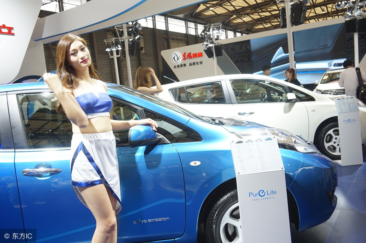 黑天鹅还会飞起来吗,黑天鹅飞起来的图片