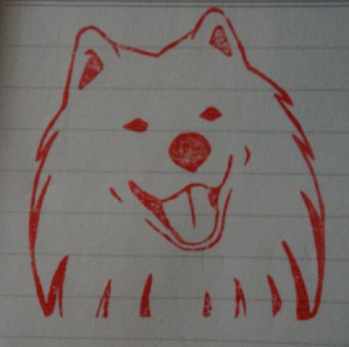 把萨摩耶养胖成了猪,把萨摩耶养成猪