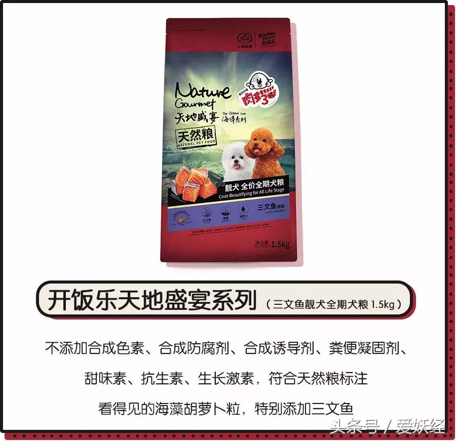 爱妖经大社区众测No.6|一份不一样的主粮能让你的毛球活力一整天