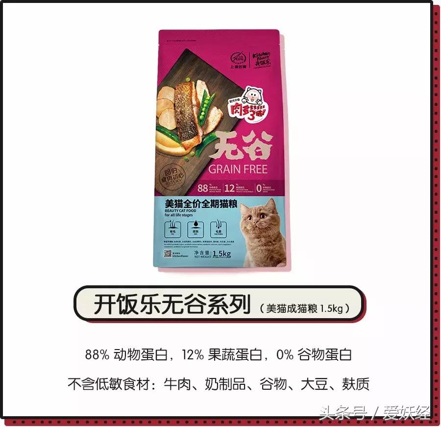 爱妖经大社区众测No.6|一份不一样的主粮能让你的毛球活力一整天