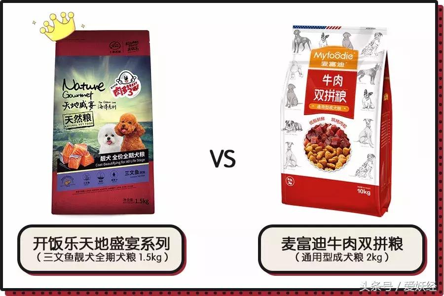 爱妖经大社区众测No.6|一份不一样的主粮能让你的毛球活力一整天