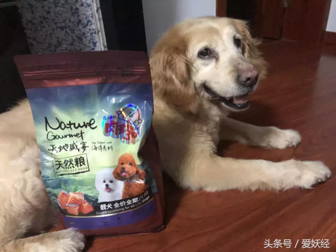 爱妖经大社区众测No.6|一份不一样的主粮能让你的毛球活力一整天