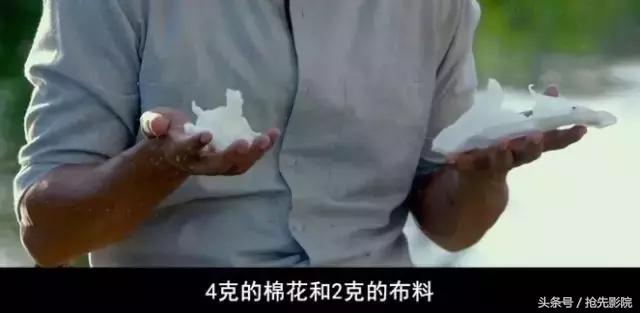 这部盯着下半身拍的电影，不服不行