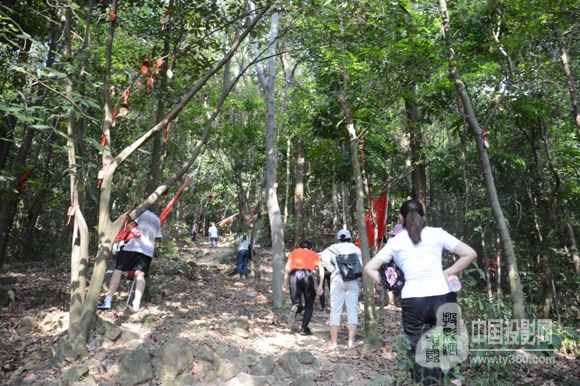 绝顶为峰，视听人凤凰山聚首