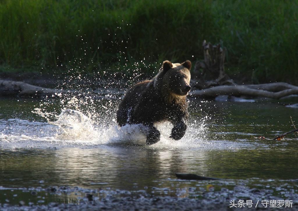 普京被采访照片,普京面对镜头照片