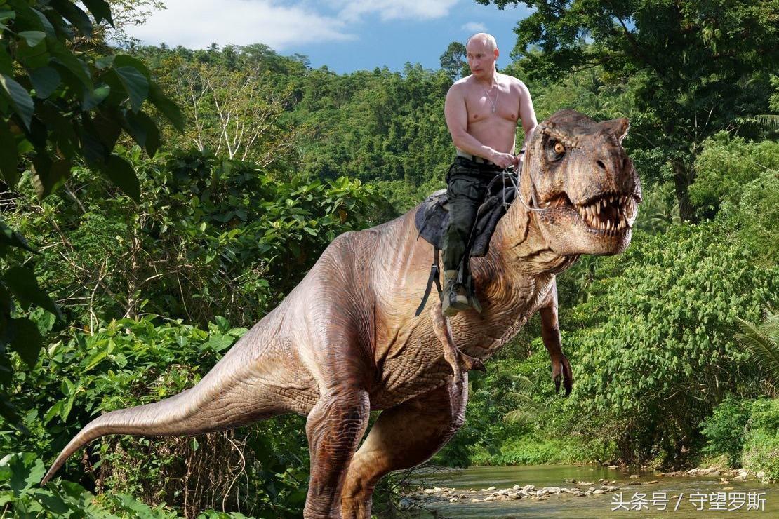 普京被采访照片,普京面对镜头照片