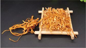 这些治疗脱发的方式真的有效吗,脱发治疗最有效的方法米诺地尔