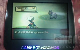 精灵宝可梦游戏盘点冰系道馆,精灵宝可梦游戏各个版本的对比