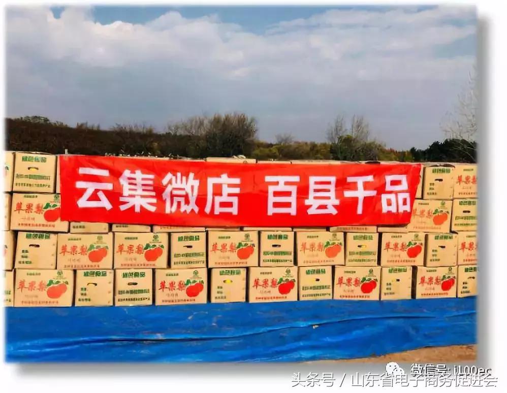 新电商扶贫模式探究以拼多多为例,拼多多电商扶贫