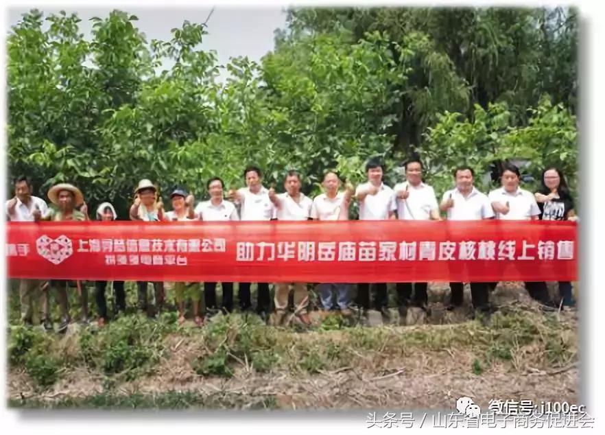 新电商扶贫模式探究以拼多多为例,拼多多电商扶贫