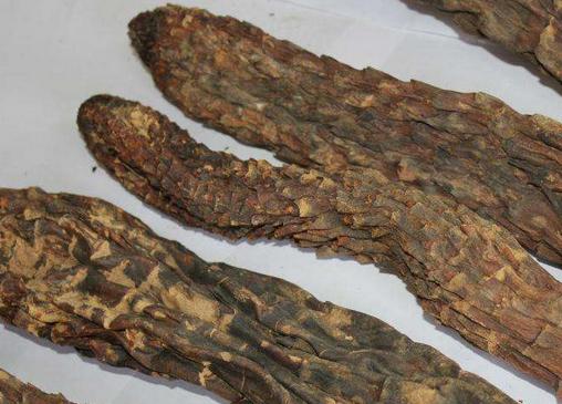 十种天然的补肾中药,煮水喝男性补肾的中药配方大全