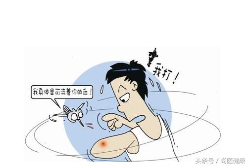 蚊子咬了怎么办驱蚊小妙招,蚊虫叮咬的小窍门儿童篇