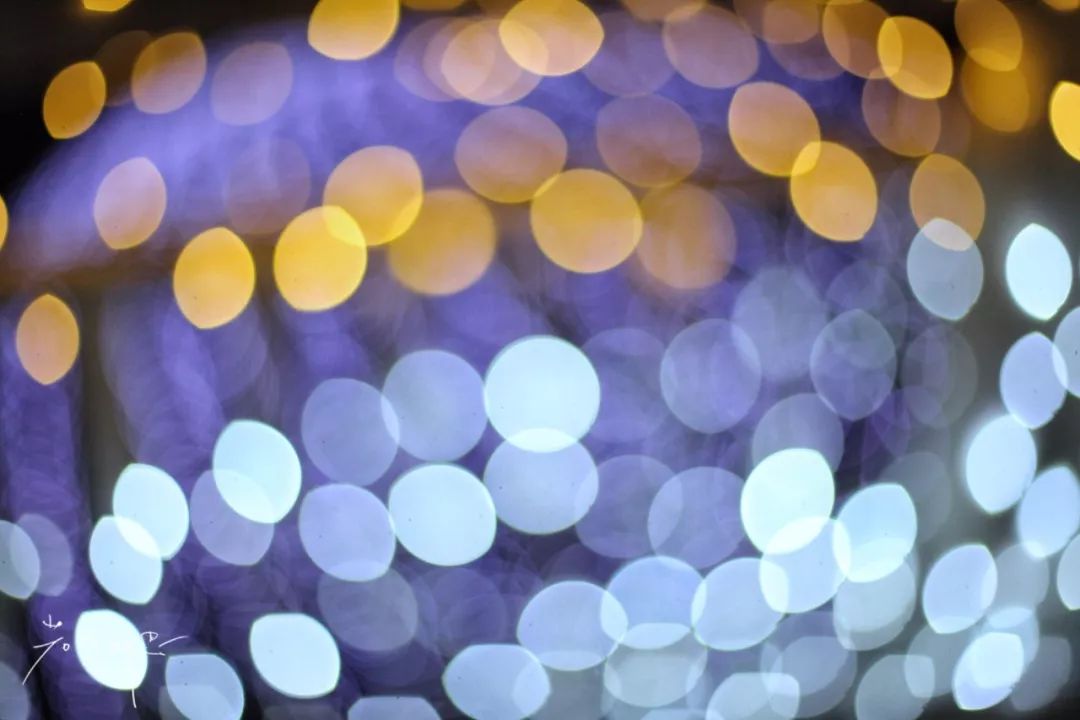 日本的哪个地方中国人不能去,日本什么地方很多中国人