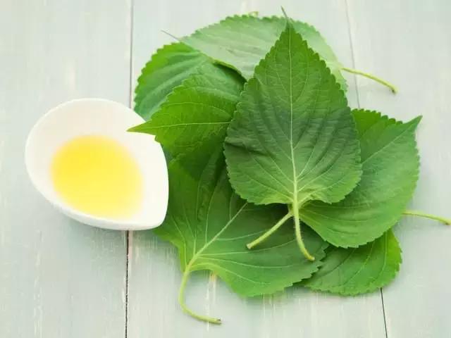 一粒泡腾片引发的悲剧，一2岁小男孩因它致死！