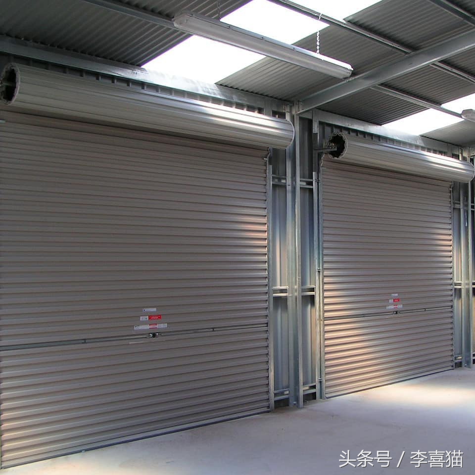 大名鼎鼎的中华气死猫，专业欺负铲屎官，谁养谁知道