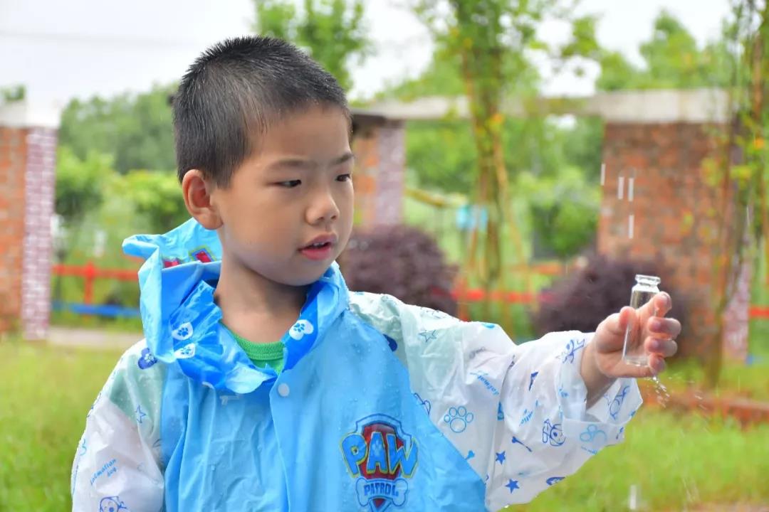 潍坊博苑溪谷森林幼儿园收费,博苑溪谷森林自然课程