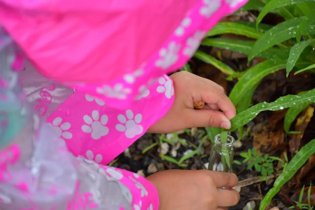 潍坊博苑溪谷森林幼儿园收费,博苑溪谷森林自然课程