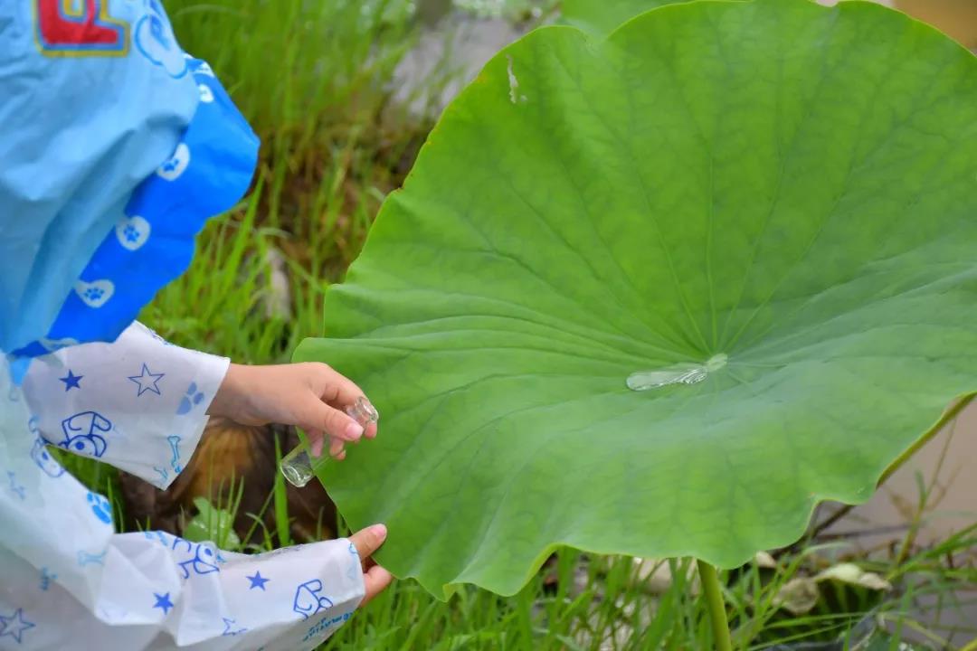 潍坊博苑溪谷森林幼儿园收费,博苑溪谷森林自然课程