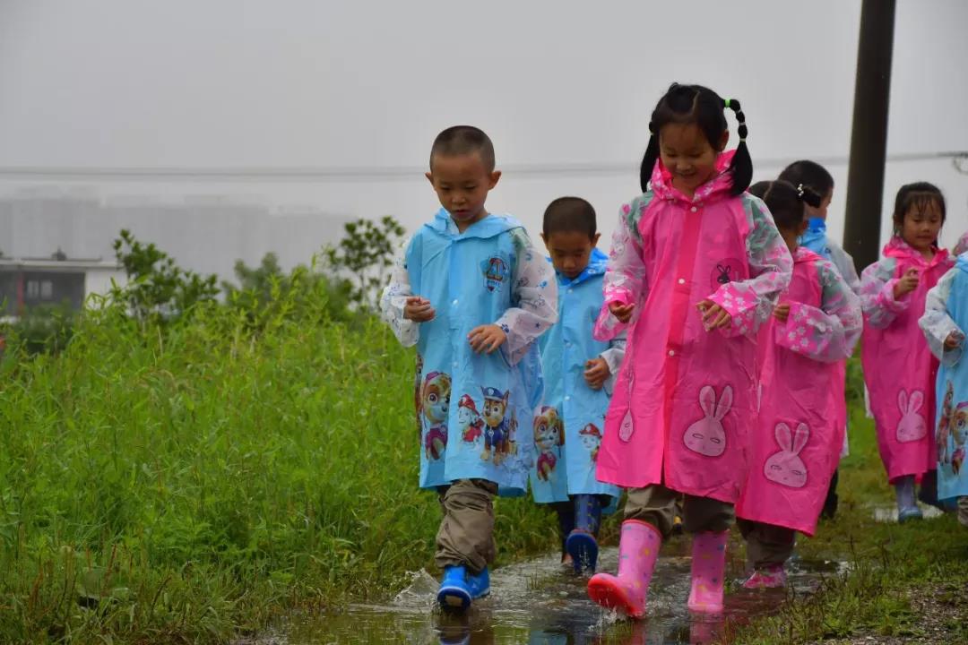 潍坊博苑溪谷森林幼儿园收费,博苑溪谷森林自然课程