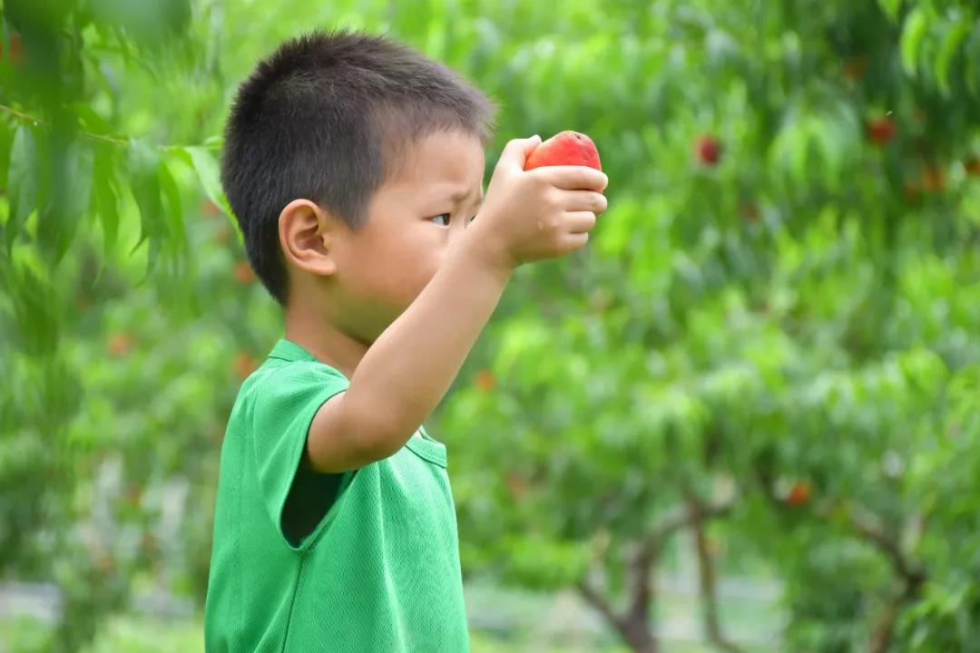 潍坊博苑溪谷森林幼儿园收费,博苑溪谷森林自然课程