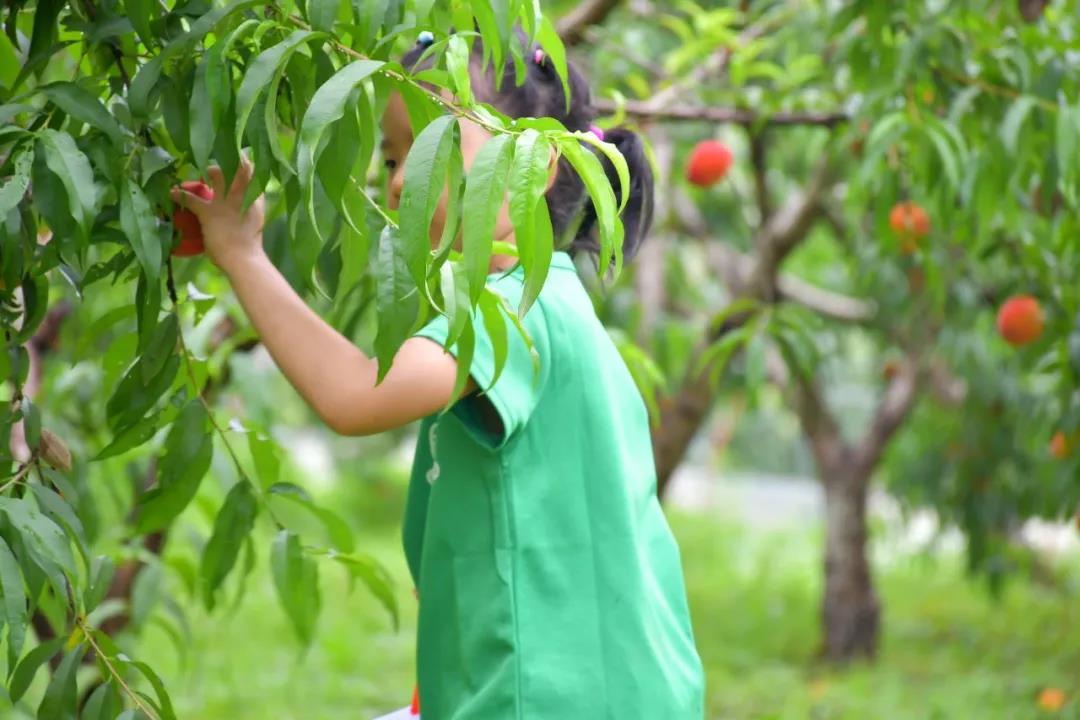 潍坊博苑溪谷森林幼儿园收费,博苑溪谷森林自然课程