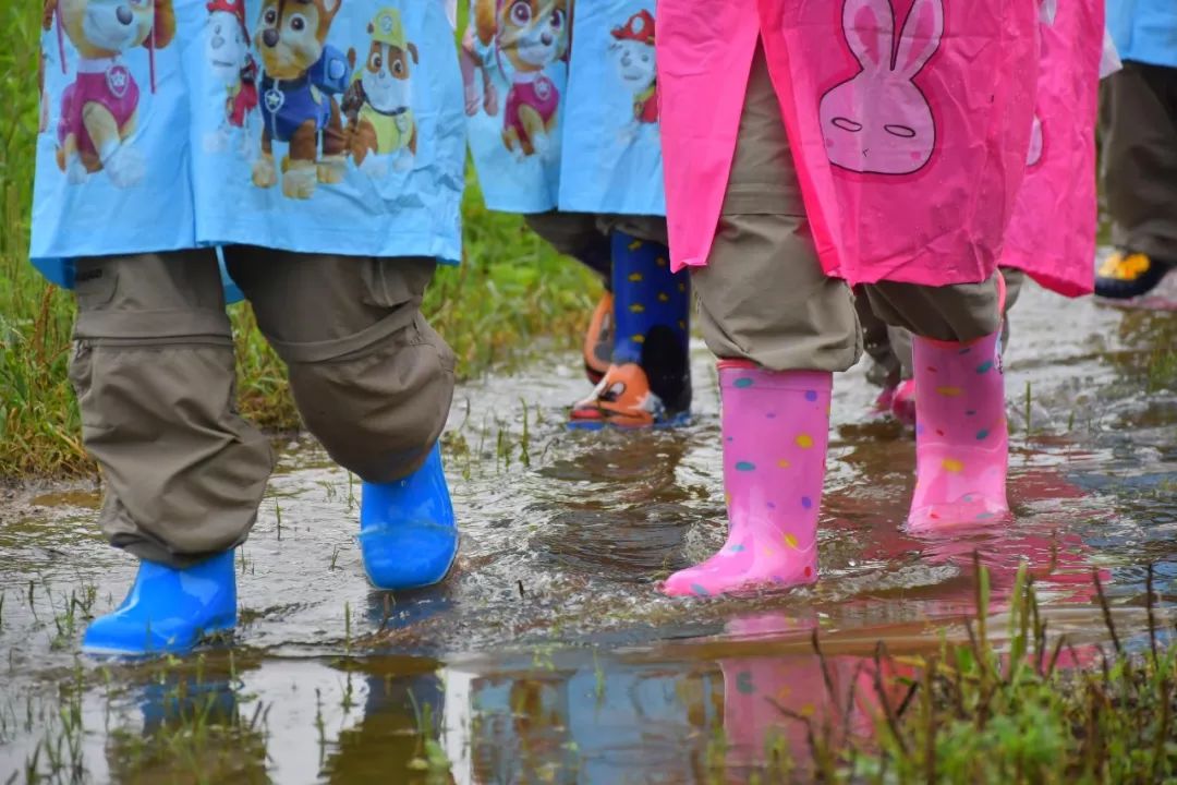 潍坊博苑溪谷森林幼儿园收费,博苑溪谷森林自然课程