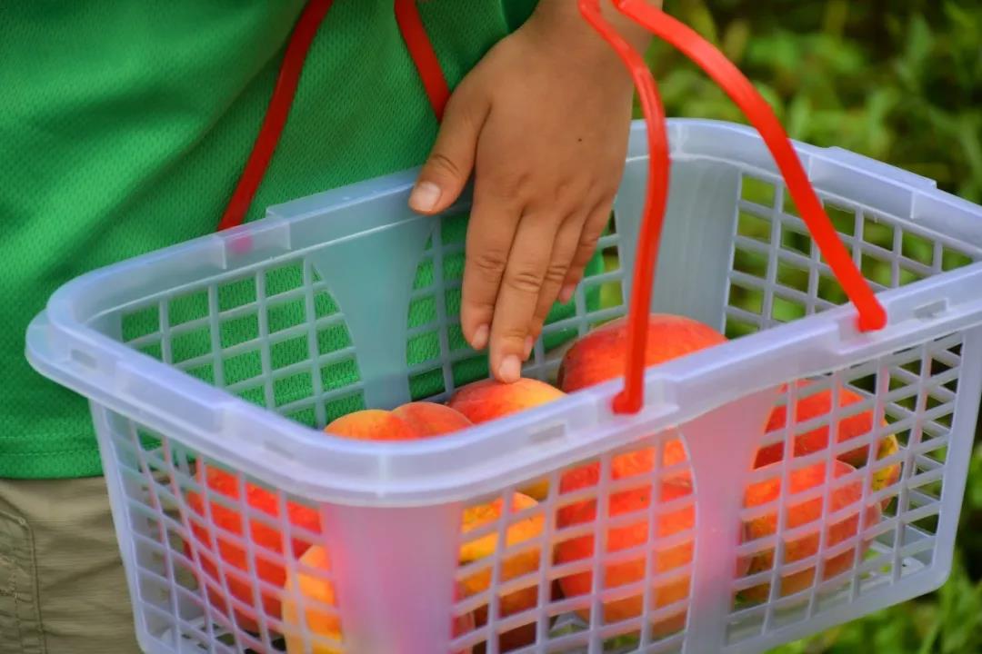 潍坊博苑溪谷森林幼儿园收费,博苑溪谷森林自然课程