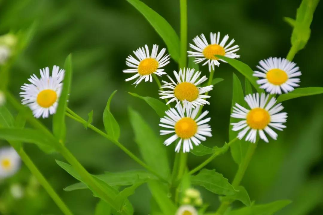 潍坊博苑溪谷森林幼儿园收费,博苑溪谷森林自然课程