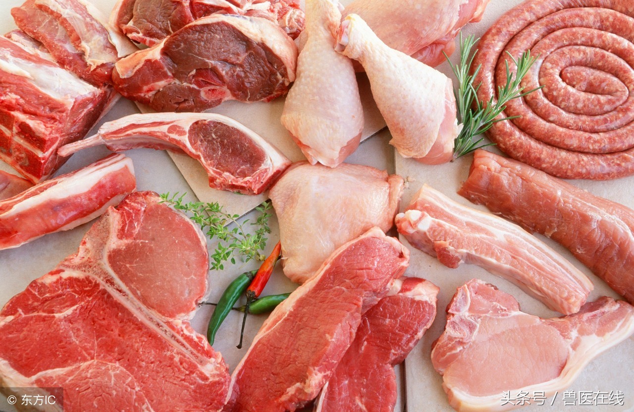 养羊未来十年前景如何,现在养羊什么前景最好