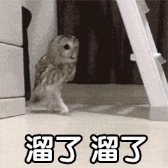 入门电源推荐,低纹波电源推荐