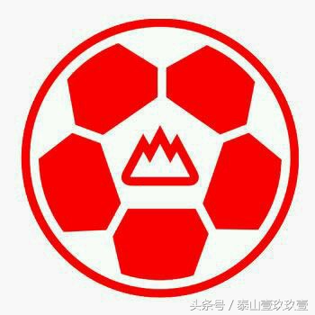 泰山队第一阶段成绩,泰山队史1000场