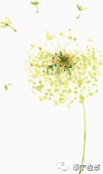 微分享｜检察官是怎么抗诉的？