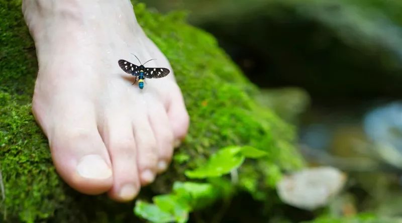 湿热脚气泡脚中药配方,去脚气脚臭最好最快的泡脚办法