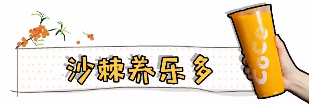 coco新出饮品,coco出的最好饮料