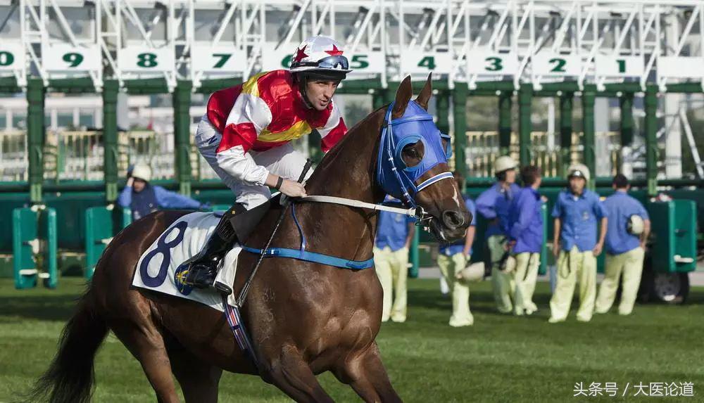 香港中文大学最新研究：打麻将真能预防老年痴呆｜1.5万人大调查