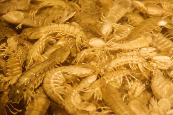 烟台记忆中的味道美食打卡,发现美味的旅程