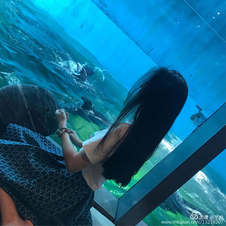 空姐十二钗（副册）